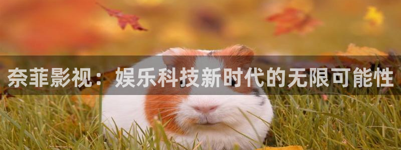 神马影院第九超神