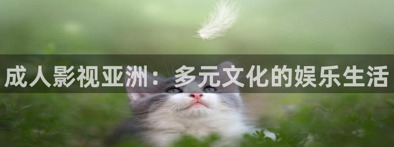 老司机神马电影网