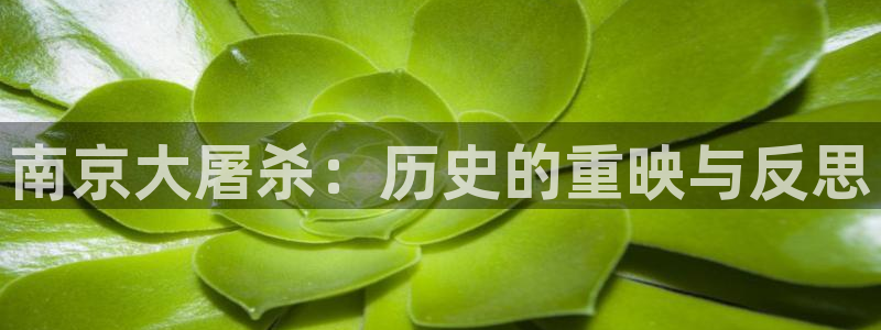 神马电影院在线观看星辰影院