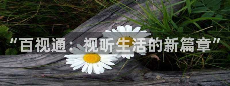 神马影片