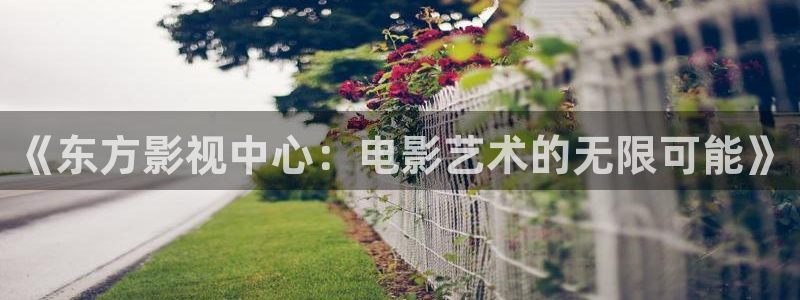 yy影院神马