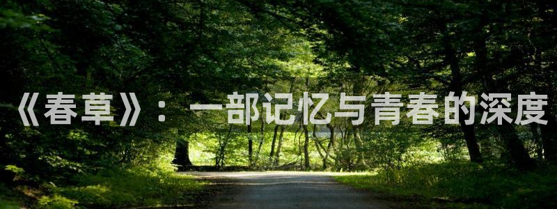 神马影院达达兔私人影院