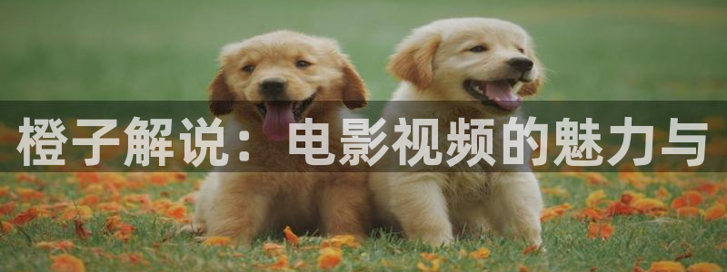 神马影院不卡国产精品