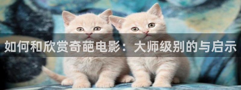 神马窝窝影院