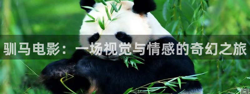 神马伦理在线电影