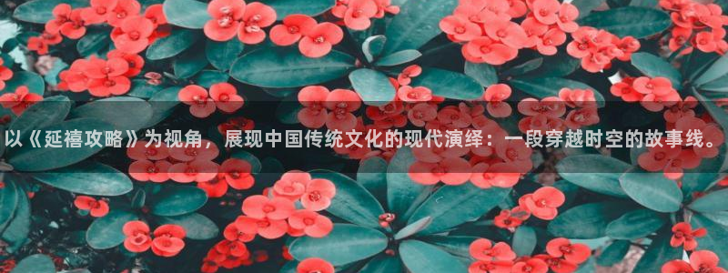 神马视频在线观看视频