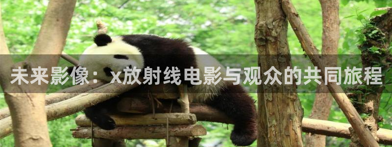 神马影院播放全职高手