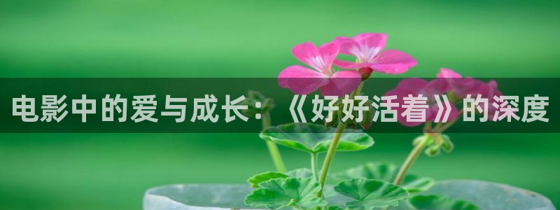理伦神马电影