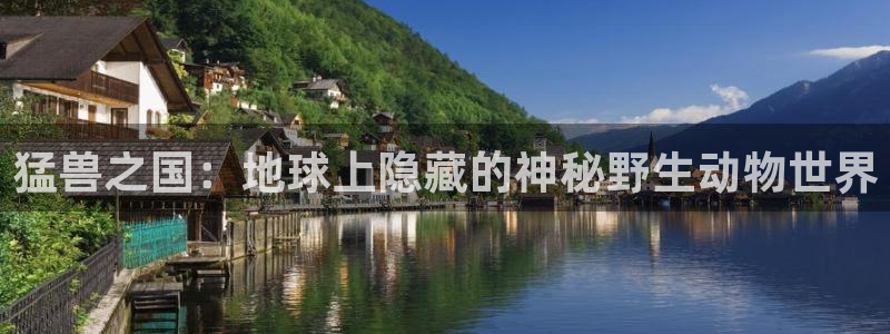 好神马电影网