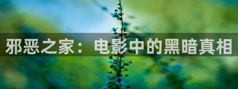 神马电影达达兔电影