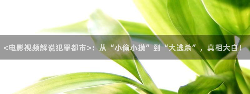 神马影院电影通