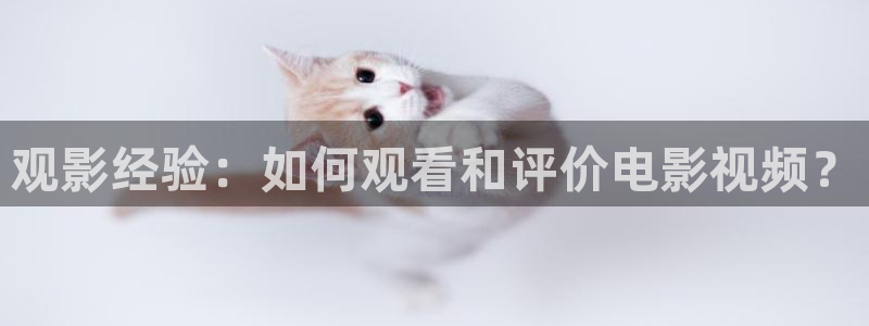 达达兔第九神马午夜影院