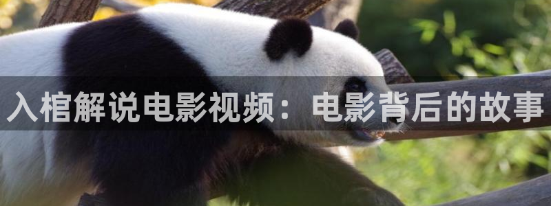 西瓜神马电影院