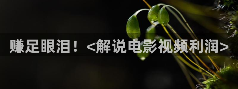 神马影院韩国理伦电影第九季