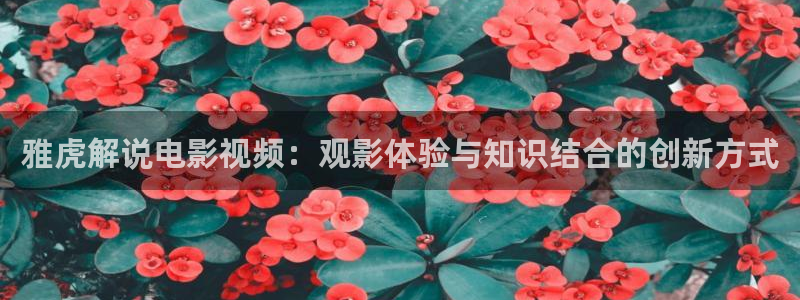 神马电影院我不卡特片