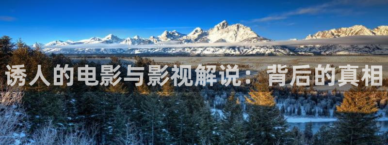 神马影院手机午夜我不卡