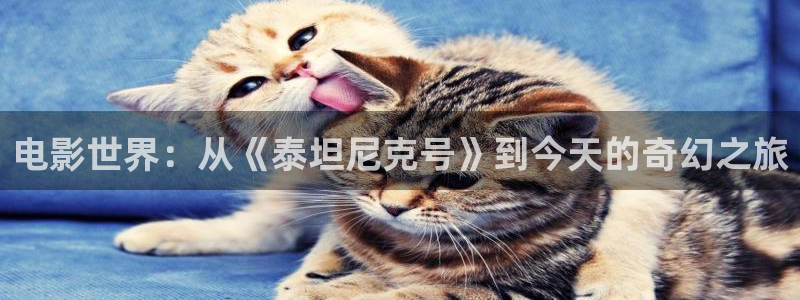神马达达兔电影