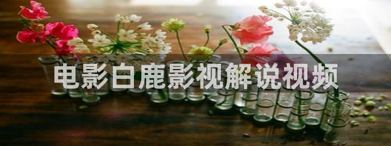 手机伦理神马影院