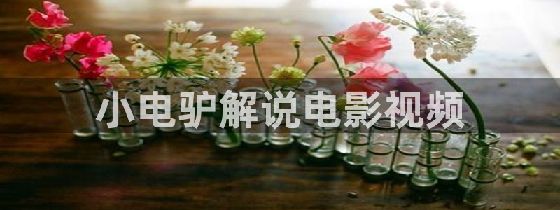神马电影午夜伦理