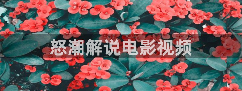 理伦片神马