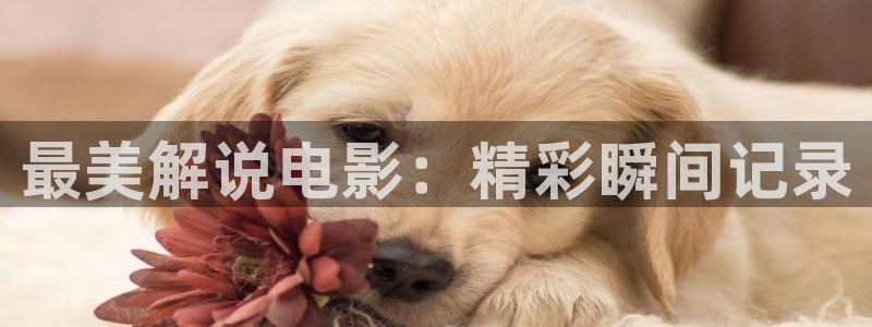 神马午夜宅男影院