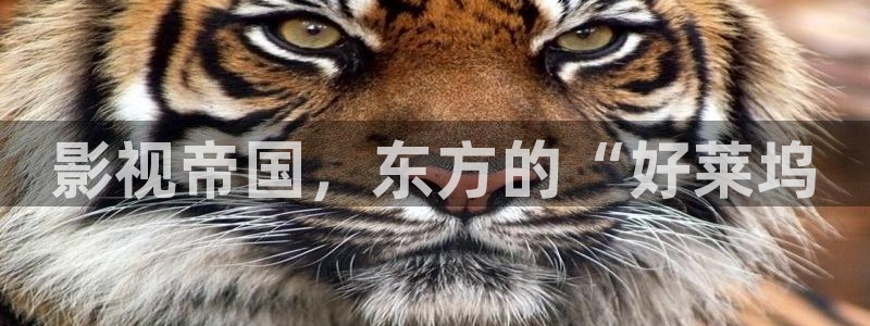 神马影院蜜桃