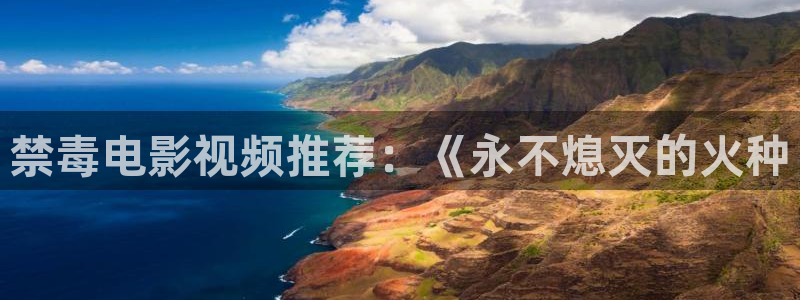 神马轮理电影