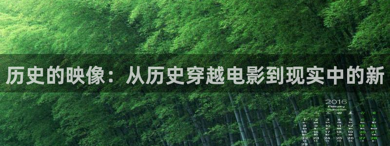 论理片神马