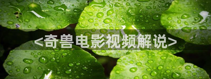 神马影院dy888达达兔