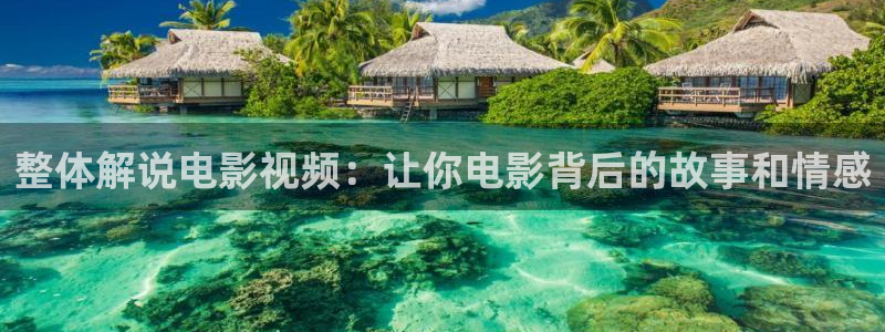 神马影院白旗影院在线观看