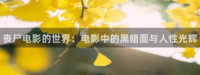 悟空电影神马影院