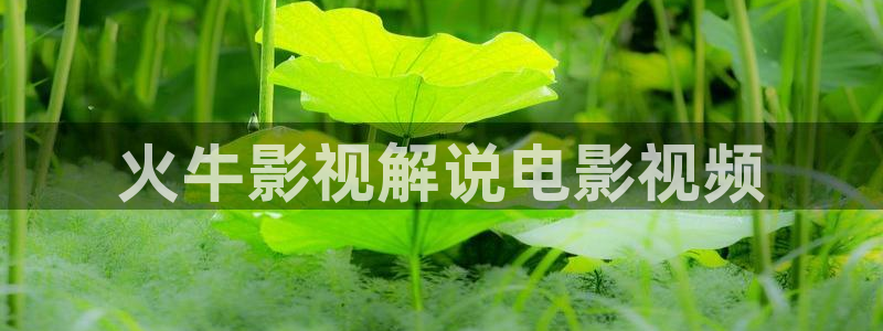 神马影院我不卡秋霞