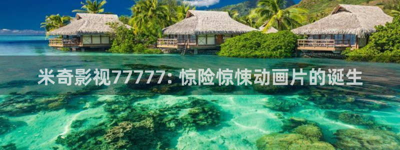 韩国理论神马影院