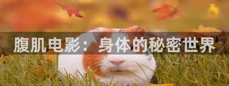 草民网神马影院