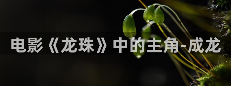 神马私人影院在线