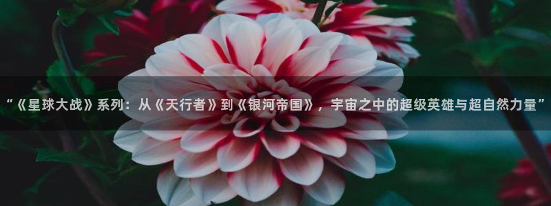 神马伦理论片
