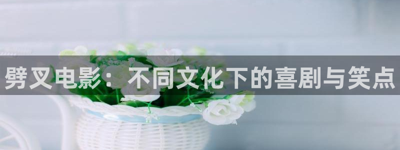 神马免费伦理