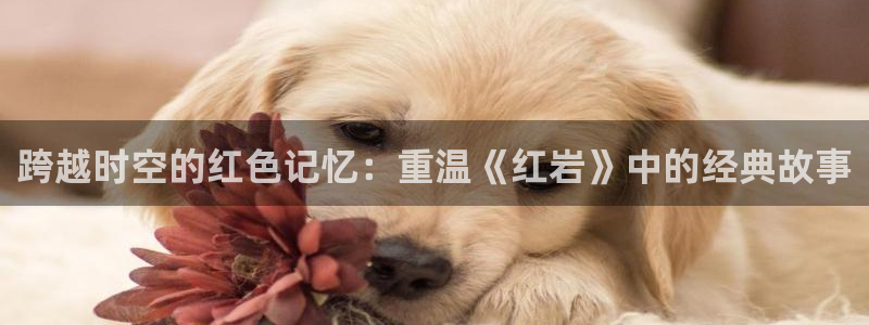 神马电影看看