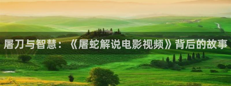神马影院手机版在线观看