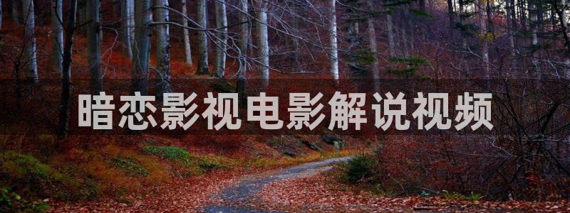 什神马影院在线