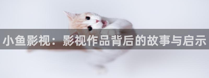 神马电影vip