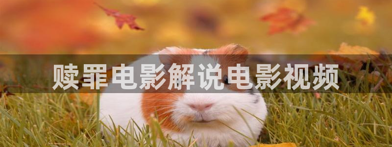 神马午夜电影网人妻日韩