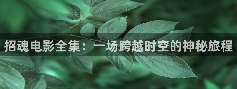 三级神马影院播放