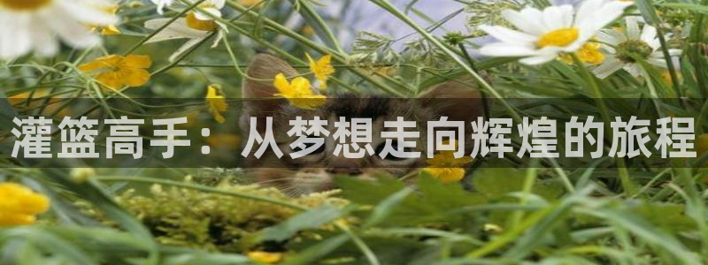 神马影院免费福利大片